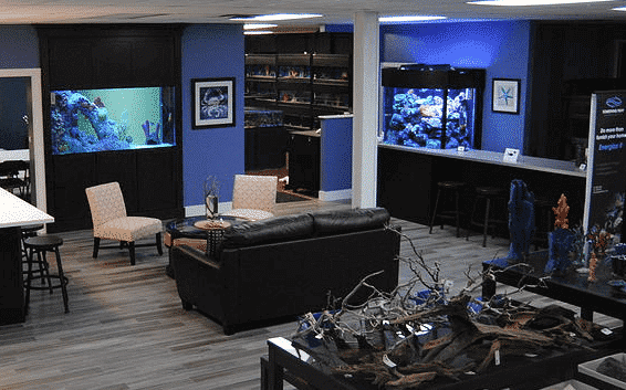 Something Fishy's design studio and retail store features the Fish TALK bar, where visitors are encouraged to enjoy refreshments and learn about aquarium care. 