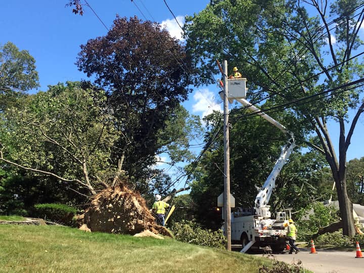 Crews work to remove fallen trees from power lines on Namquid Avenue in the Gov. Francis Neighborhood.