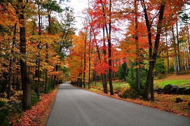 Fall Foliage is on display in RI and throughout New England this weekend. 