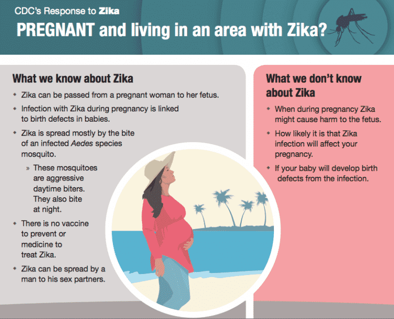 [CREDIT: CDC] The CDC has listed information for pregnant women living in areas where Zika is active. 