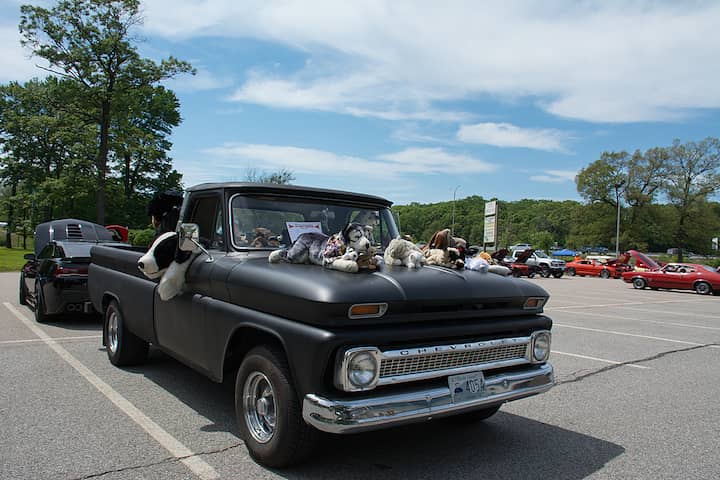 [CREDIT: Mary Carlos] This Chevy pick-up was really showing their spirit at the Cause for Paws car show.