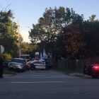 [CREDIT: Bethany Hashway] Warwick Police responded to a report of two dogs that had attacked a man and his dog on Titus Lane, shooting and killing the attacker dogs.