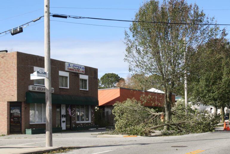 [CREDIT: Beth Hurd] A tree at the corner of Birchwood and West Shore Road, in front of J. Joyce Plumbing, was among the many downed and damaged trees in the Connimicut Village area.