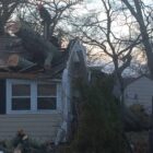 [CREDIT: Rob Borkowski] A downed tree struck the roof above a New Britain Street home's bedroom Friday. On Saturday, Northeastern Tree Removal lived up to its name.