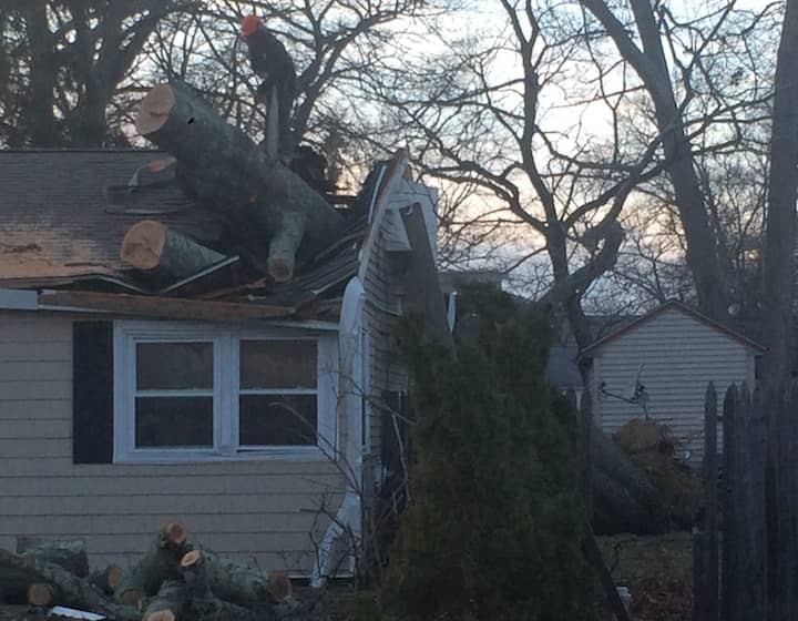 [CREDIT: Rob Borkowski] A downed tree struck the roof above a New Britain Street home's bedroom Friday. 