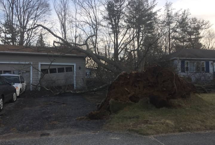 [CREDIT: Rob Borkowski] A tree fallen over a house's garage at 619 Church Street.