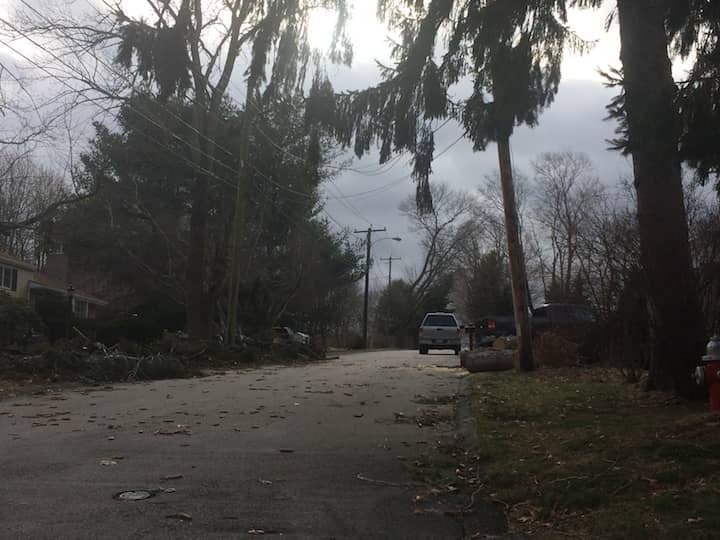 [CREDIT: Rob Borkowski] Downed branches were cut into moveable pieces on Newton Street Saturday. 