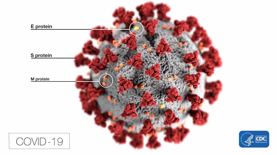 [CREDIT: CDC] This image shows the shape of coronaviruses. Spikes that adorn the outer surface of the virus, which impart the look of a corona, microscopically. In this view, the protein particles E, S, and M, also located on the outer surface of the particle, have all been labeled.
