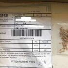 [CREDIT: DEM] The DEM advises anyone who had received the China seeds to mail them to the USDA Plant Protection and Quarantine Office in Wallingford, CT. They should not open, handle, plant or throw away the seeds.