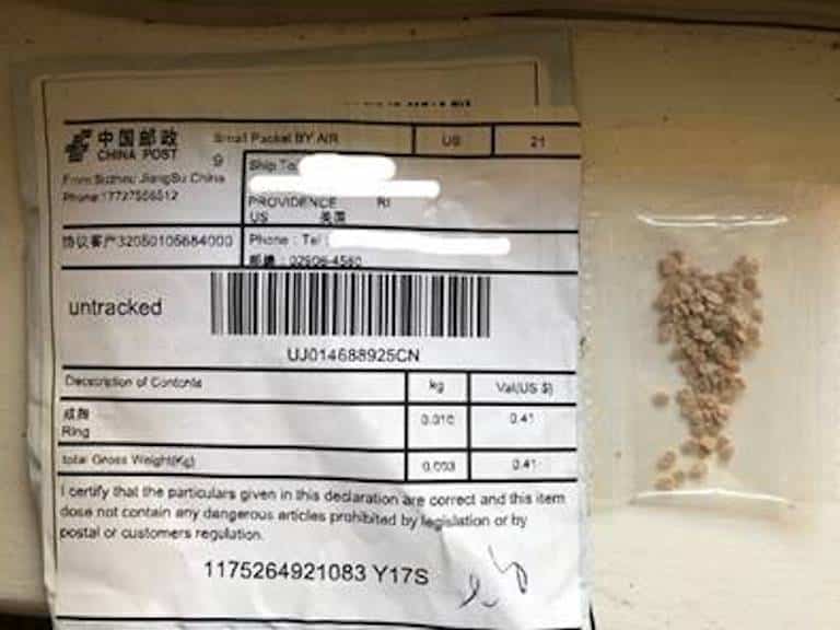 [CREDIT: DEM] The DEM advises anyone who had received the China seeds to mail them to the USDA Plant Protection and Quarantine Office in Wallingford, CT. They should not open, handle, plant or throw away the seeds.