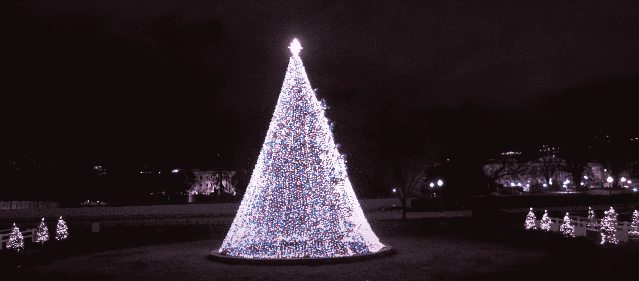 [CREDIT: Nationaltree.org] The 2020 National Christmas Tree Lighting Dec. 3 at President’s Park, co-presented by the National Park Service and the National Park Foundation.