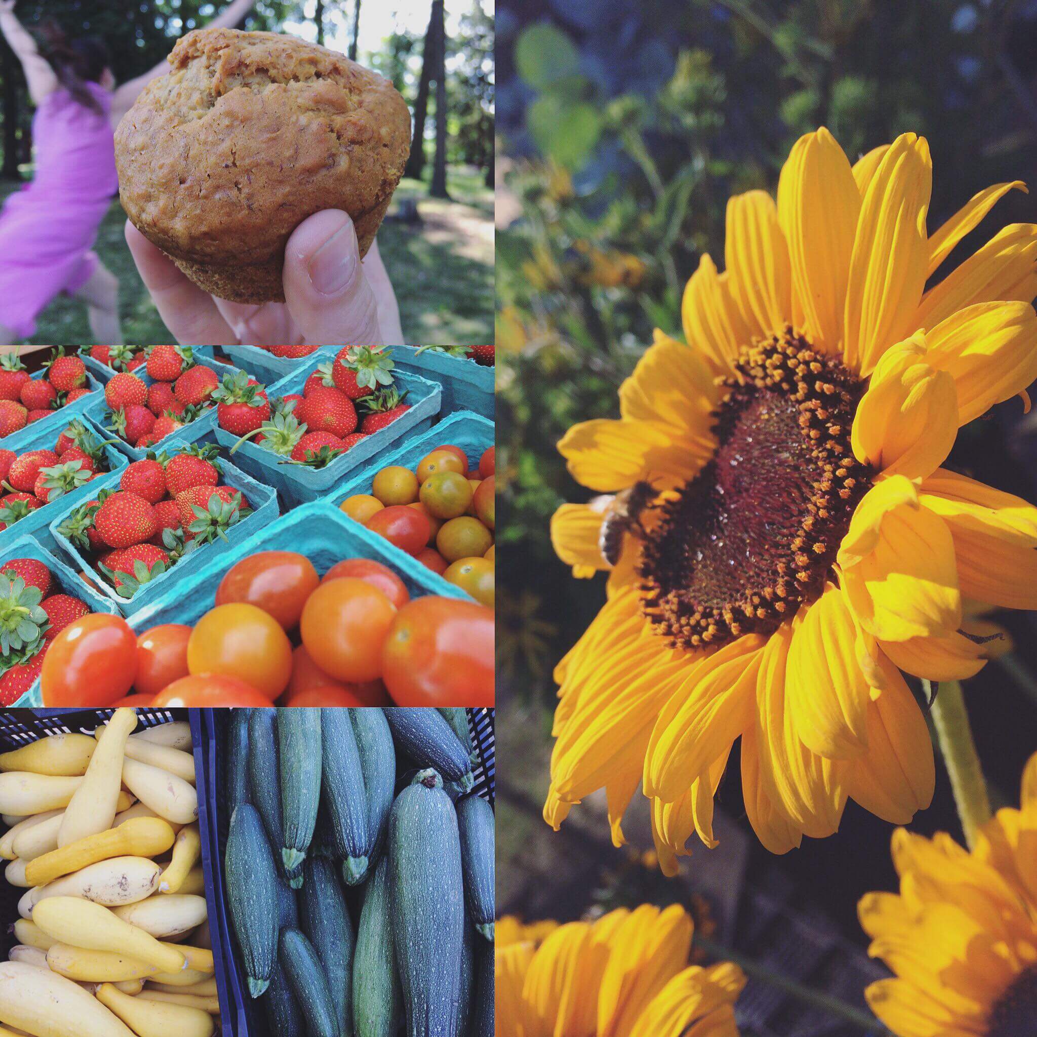 [CREDIT: Goddard Park] Among the Warwick weekend events on deck this week is the Goddard Park Farmer's market.