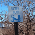 [CREDIT: Buckeye Brook Coalition] Buckeye Brook, one of 17 Warwick waters on the DEM's Impaired Waters List, is the subject of a recently updated report on pollutant threats. The public is invited to comment on the updated report.