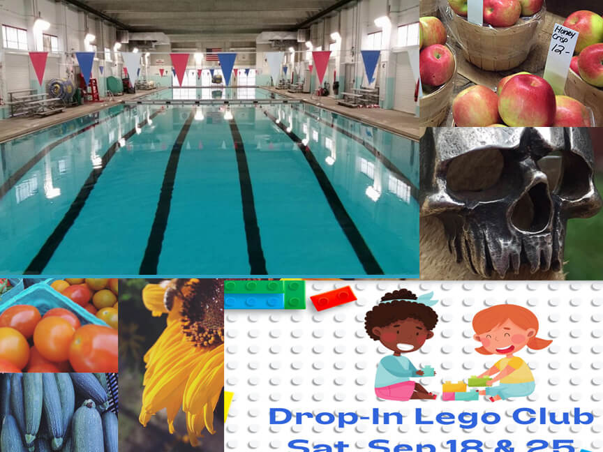 [CREDIT: Warwick Post Illustration] The Warwick Weekend roundup includes Apple picking, LEGOs, swim time at McDermott Pool and art at the Steel Yard.
