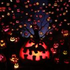 [CREDIT: Roger Williams Park] In this week's Warwick Weekend roundup, the Jack-O-Lantern Spectacular at the Roger Williams Park Zoo is back this year through Oct. 31.