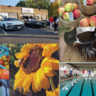 [CREDIT: Warwick Post Illustration] The Warwick Weekend roundup includes Apple picking, A car show benefit for Toys for Tots, swim time at McDermott Pool and art at the Steel Yard.