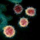 [CREDIT: CDC] An image of the novel coronavirus that causes COVID-19. A recent surge is waning, but remains above the threshold set for safe in-school attendance in 2020, and a new benchmark recommended by a health expert.