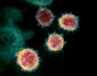 [CREDIT: CDC] An image of the novel coronavirus that causes COVID-19.