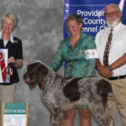 [CREDIT: The Kennel Club recently honored Rep. David A. Bennett for his support of a law providing police dog EMT care.