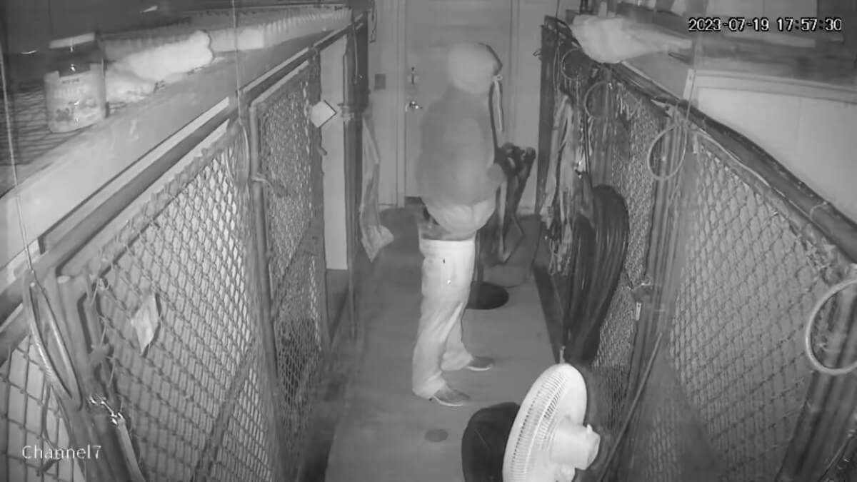 [CREDIT: RI State Police] Troopers are asking the public's help finding a dog stolen from the Exeter Animal Shelter July 19. Above, a still image from video surveillance of the abduction.