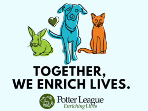 The Potter League will use a $30K RI Foundation pet medical cost grant to help low-income pet owners.