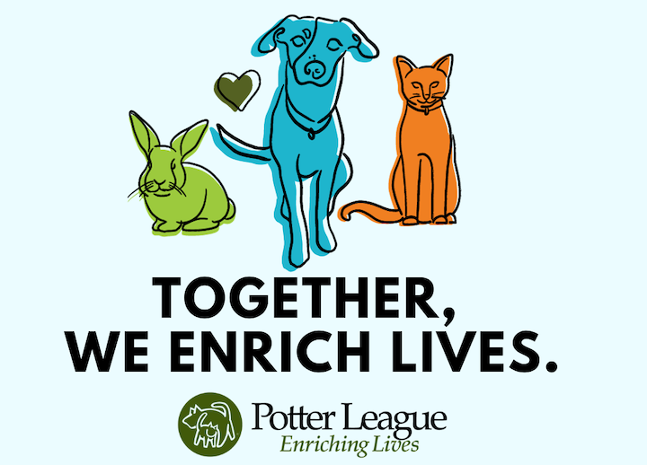 The Potter League will use a $30K RI Foundation pet medical cost grant to help low-income pet owners.