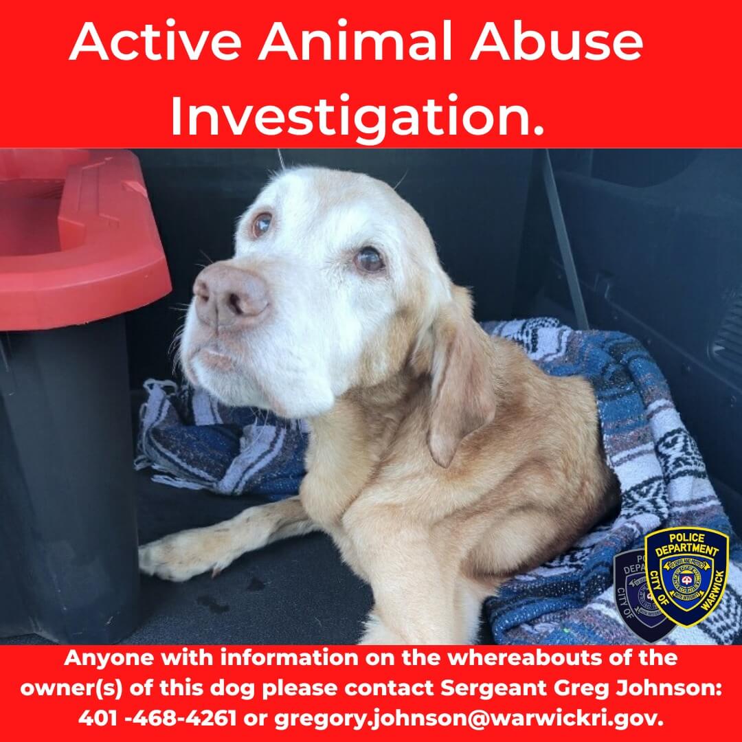 [CREDIT: WPD] Warwick Police are asking the public for help investigating a senior dog abandoned at Pawtuxet Cemetery this weekend. The dog was euthanized due to its poor health.