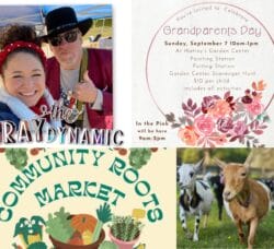 [Credit: WP Composite] This week’s Coventry Community Events in Coventry, RI include a grandparent’s day event at Hattoy’s Nursery and a live music opportunity, along with the usual farmers market and goat events.
