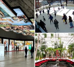 [WP Composite] Warwick Weekend events this week include art at Warwick Mall, skating at City Hall Plaza an indoor retreat from winter and natural history at Roger Williams Park.