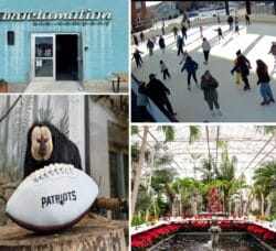 [CREDIT: WP Composite] Warwick Weekend events include skating, free admission to the zoo on Super Bowl Sunday, and a free movie Friday.